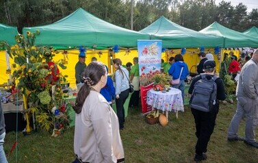 _DSC4099 (Medium).jpeg
