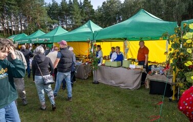 _DSC4097 (Medium).jpeg