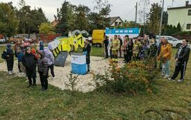 PXL_20231019_081334319 (Średni)