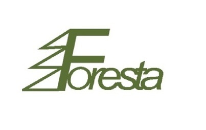Zdjęcie do Foresta Place Zabaw