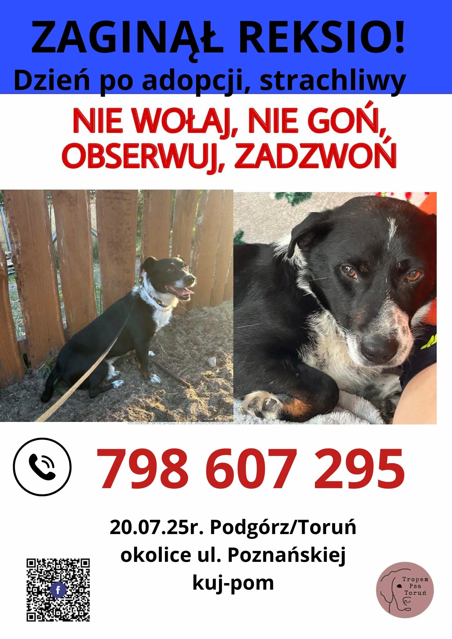 FB_IMG_1753085020141