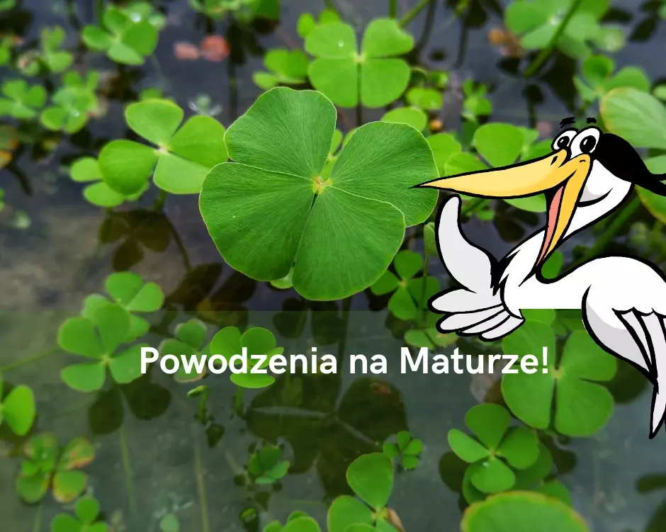 Zdjęcie do Powodzenia na Maturze!