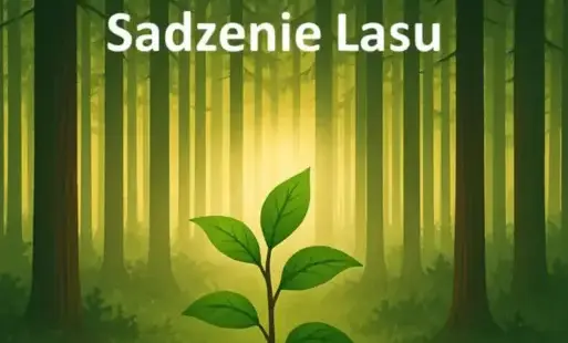 Zdjęcie do Społeczne Sadzenie Lasu