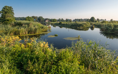 Zdjęcie do Troska o naturę i klimat w Światowym Dniu Środowiska