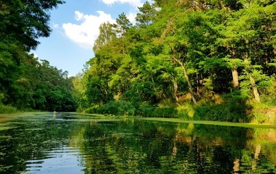 Zdjęcie do Audyt krajobrazowy ma chronić tereny uznane za cenne przyrodniczo
