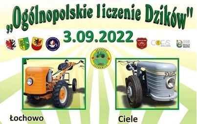 Zdjęcie do &bdquo;Liczenie Dzik&oacute;w&rdquo; jedną z atrakcji festynu w Łochowicach