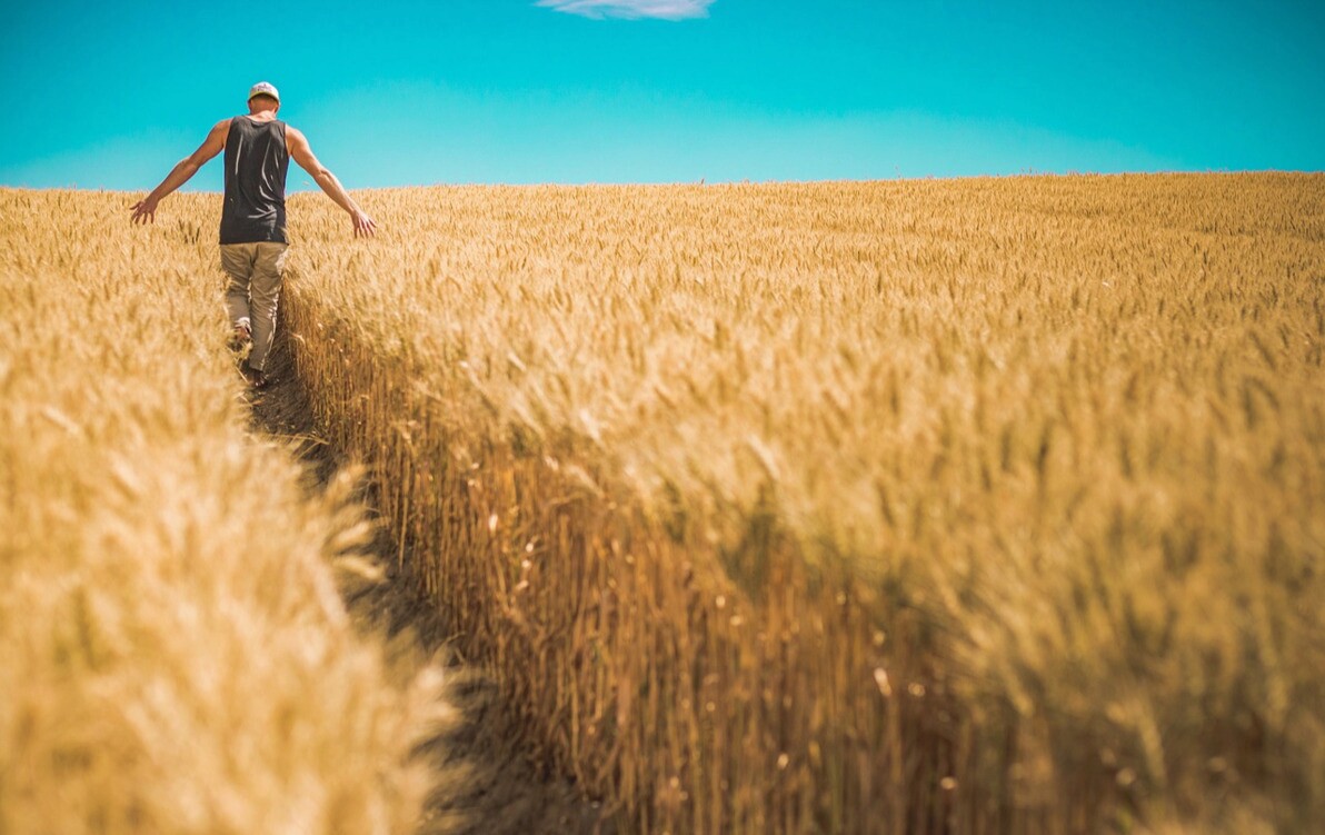 Zdjęcie do Można już głosować na kandydat&oacute;w z naszej gminy w plebiscycie Mistrzowie Agro