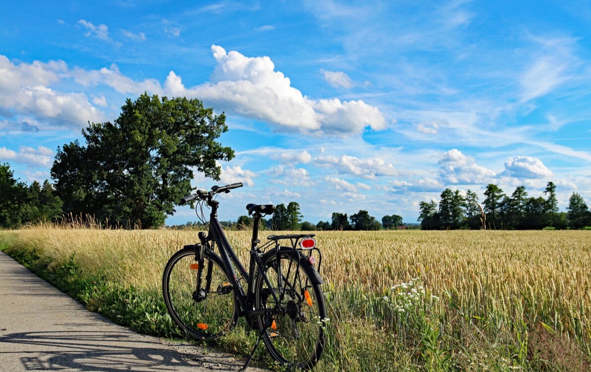 Zdjęcie do SP w Białych Błotach zaprasza na kolejną wycieczkę rowerową pn. "Rowerowe Love"