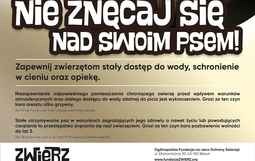 Zdjęcie do Zbliża się kolejna fala upał&oacute;w, uwaga na zwierzęta!