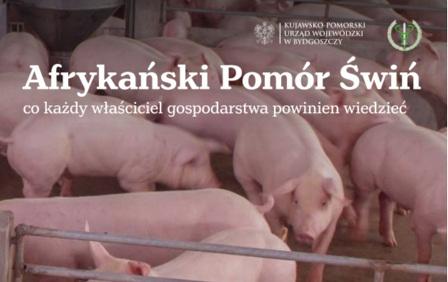 Zdjęcie do Broszura informacyjna "zatrzymaj ASF"