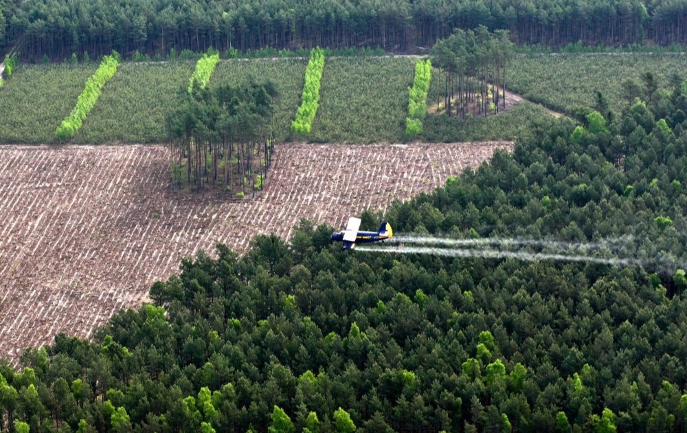Zdjęcie do Opryski lotnicze las&oacute;w